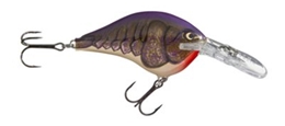 Picture of Rapala DT (Dives-To) Series Crankbaits