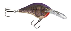 Picture of Rapala DT (Dives-To) Series Crankbaits