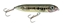 Picture of Heddon Super Spook Jr. Hardbaits