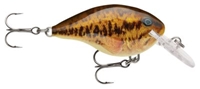 Picture of Rapala DT (Dives-To) Series Crankbaits