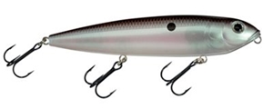 Picture of Strike King KVD Sexy Dawg Topwater Hardbaits