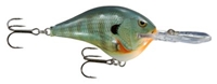 Picture of Rapala DT (Dives-To) Series Crankbaits