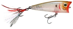 Picture of Boyd Duckett Series Popper