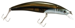 Picture of Bass Pro Shops XTS Lures - Minnow