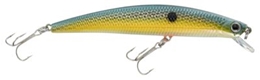 Picture of Bass Pro Shops XPS Suspending Minnows