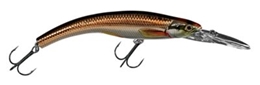 Picture of LIVETARGET Rainbow Smelt Banana Bait