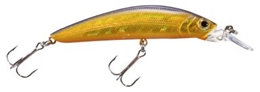 Picture of Bass Pro Shops XPS Floating Minnows
