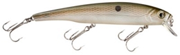Picture of Bass Pro Shops XPS Suspending Minnows