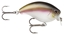 Picture of STORM Arashi Wake Crank