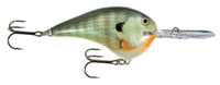 Picture of Rapala DT (Dives-To) Series Crankbaits