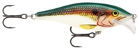 Picture of Rapala Scatter Rap Shad