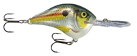 Picture of Rapala DT (Dives-To) Series Crankbaits