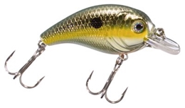 Picture of Bass Pro Shops XPS Lazer Eye Hardbaits - Shallow Crank