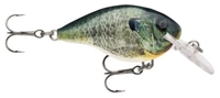 Picture of Rapala DT (Dives-To) Series Crankbaits