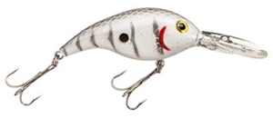 Picture of Bass Pro Shops Tourney Crankbait