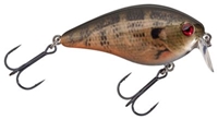 Picture of Strike King KVD Rattling Shallow Runner
