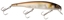 Picture of Bass Pro Shops XPS Suspending Minnows
