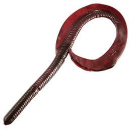 Picture of Strike King Rage Tail Anaconda Softbaits