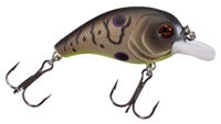 Picture of Bass Pro Shops XPS Lazer Eye Hardbaits - Shallow Crank