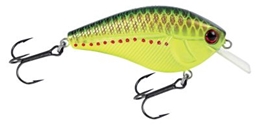 Picture of Livingston Lures Primetyme Square 2.0 Crankbait