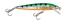 Picture of Rapala Husky Jerk Minnow