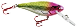 Picture of Lindy Wally Shad Crankbait