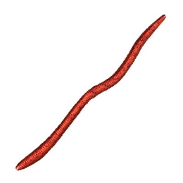 Picture of Bass Pro Shops Flick'n Shimmy Worms
