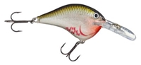 Picture of Rapala DT (Dives-To) Series Crankbaits