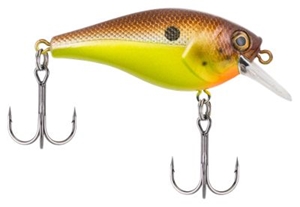 Picture of Berkley Pitbull 5.5 Crankbait