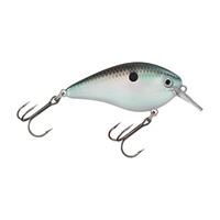 Picture of Strike King KVD Rattling Square Bill Crankbaits