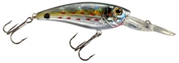 Picture of Bass Pro Shops XPS Sonar Shad