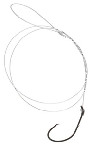 Picture of Eagle Claw Lazer Sharp Snelled Circle Sea Hooks