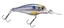 Picture of LIVETARGET Threadfin Shad