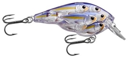 Picture of LIVETARGET Yearling Bait Ball Square Bill